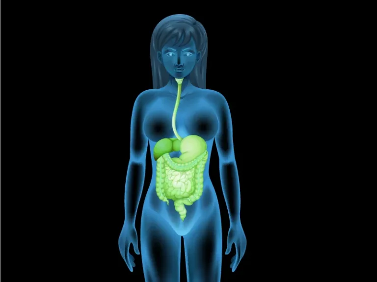 מערכת העיכול - פותרים את הבעיה של בטן קשה ונפוחה