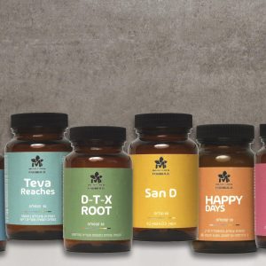 חבילת חירום מלחמה פרמיום