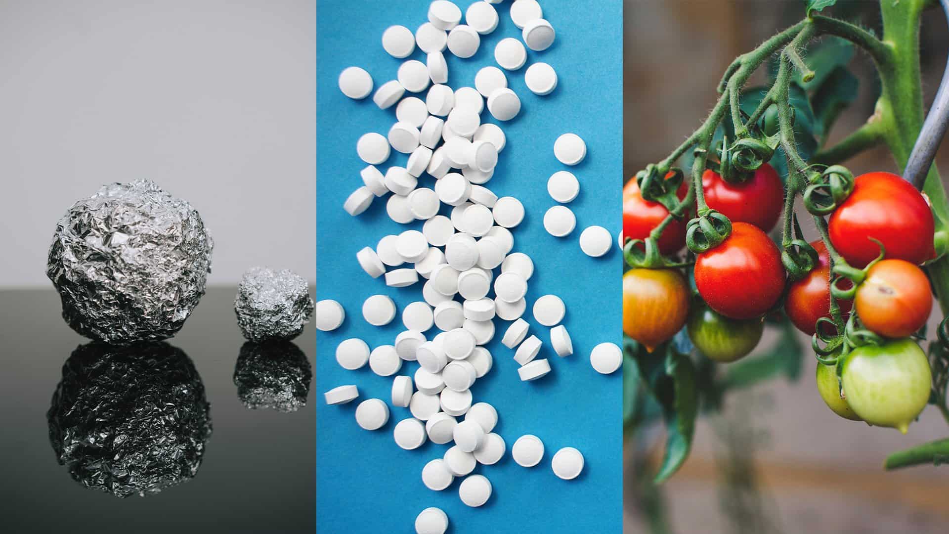 רעלים שמשפיעים על הגוף שלנו